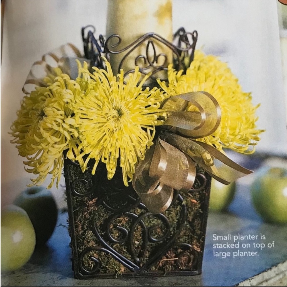 SL@H Vintage Rustic Rosedale Metal Scroll Baskets/Plant Holders